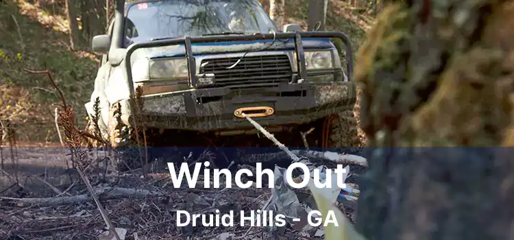 Winch Out Druid Hills - GA